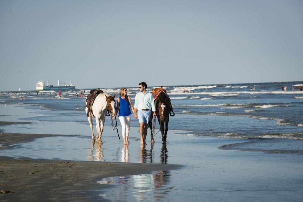 Hotel Beachfront Palms Galveston