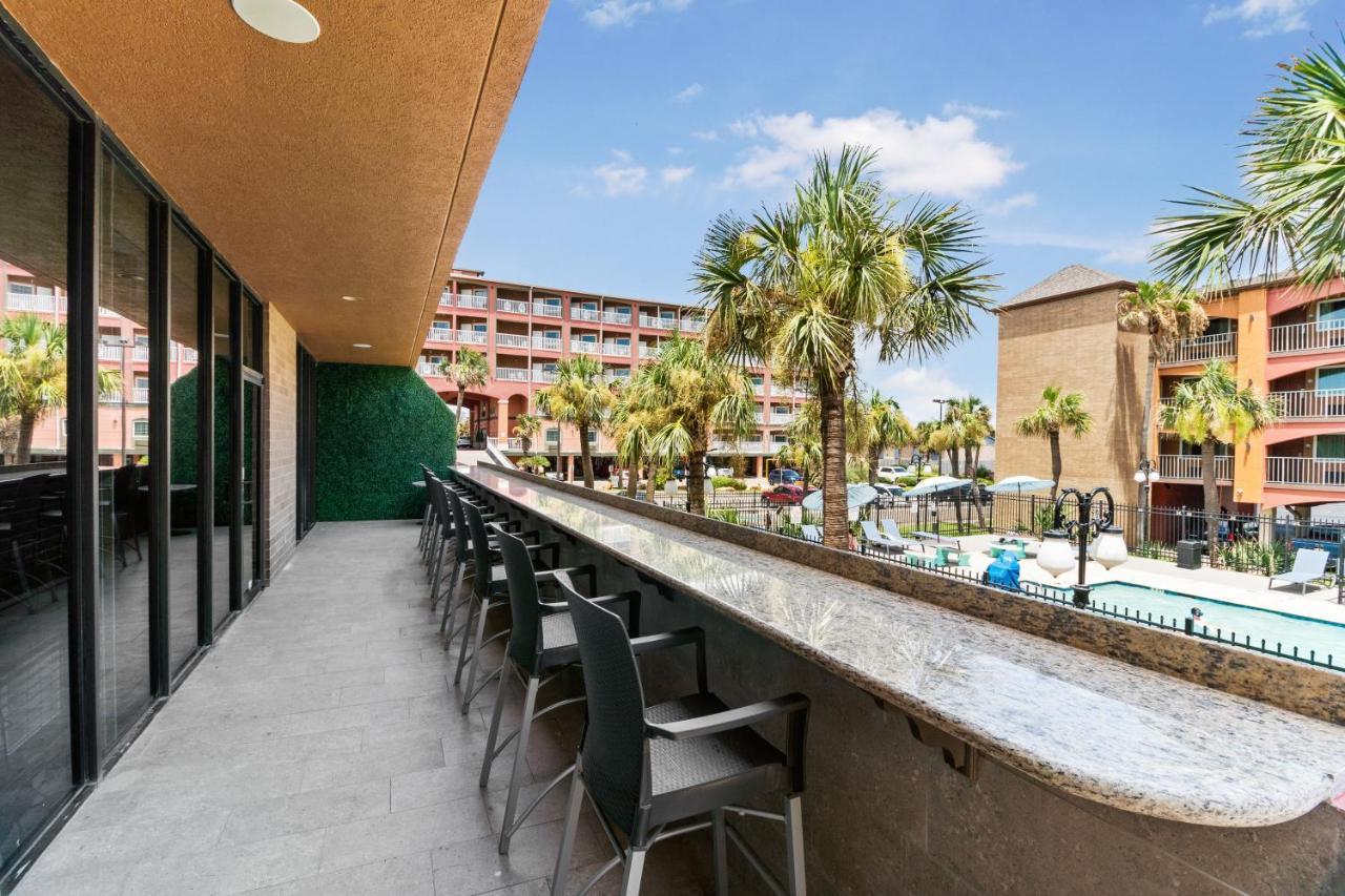 Beachfront Palms