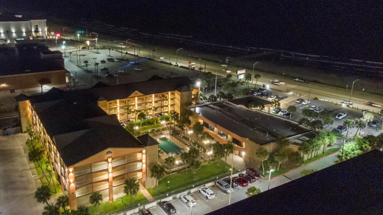 Beachfront Palms