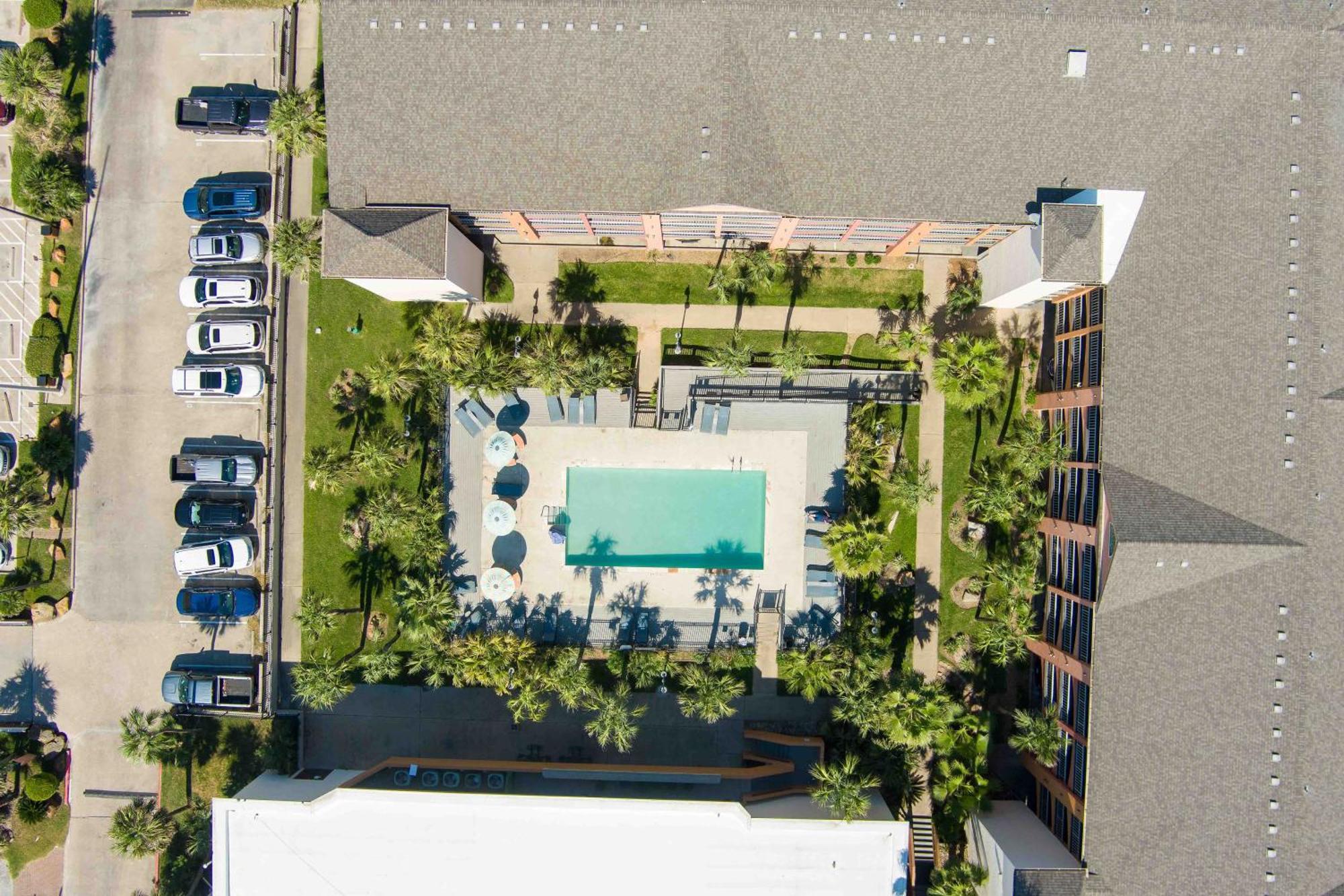 Beachfront Palms